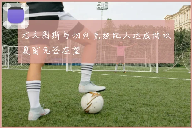 尤文图斯与切利克经纪人达成协议夏窗免签在望