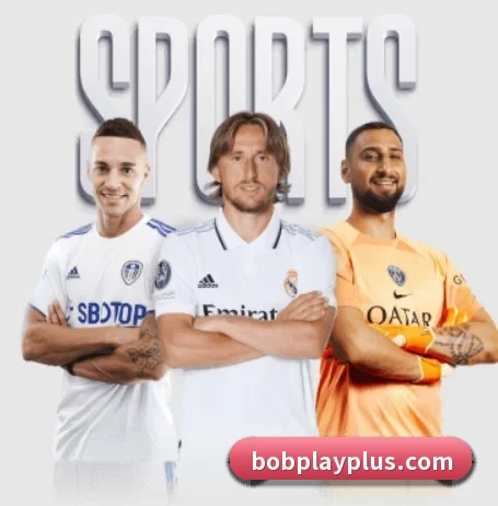 BOB体育 APP
